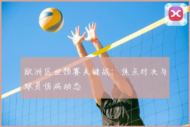 欧洲区世预赛关键战：焦点对决与球员伤病动态